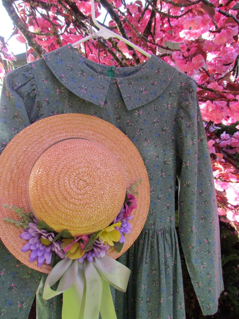 "ANNE OF GREEN GABLES" DRESS & HAT, S, GREEN PRINT MAXI + STRAW HAT = COSTUME!